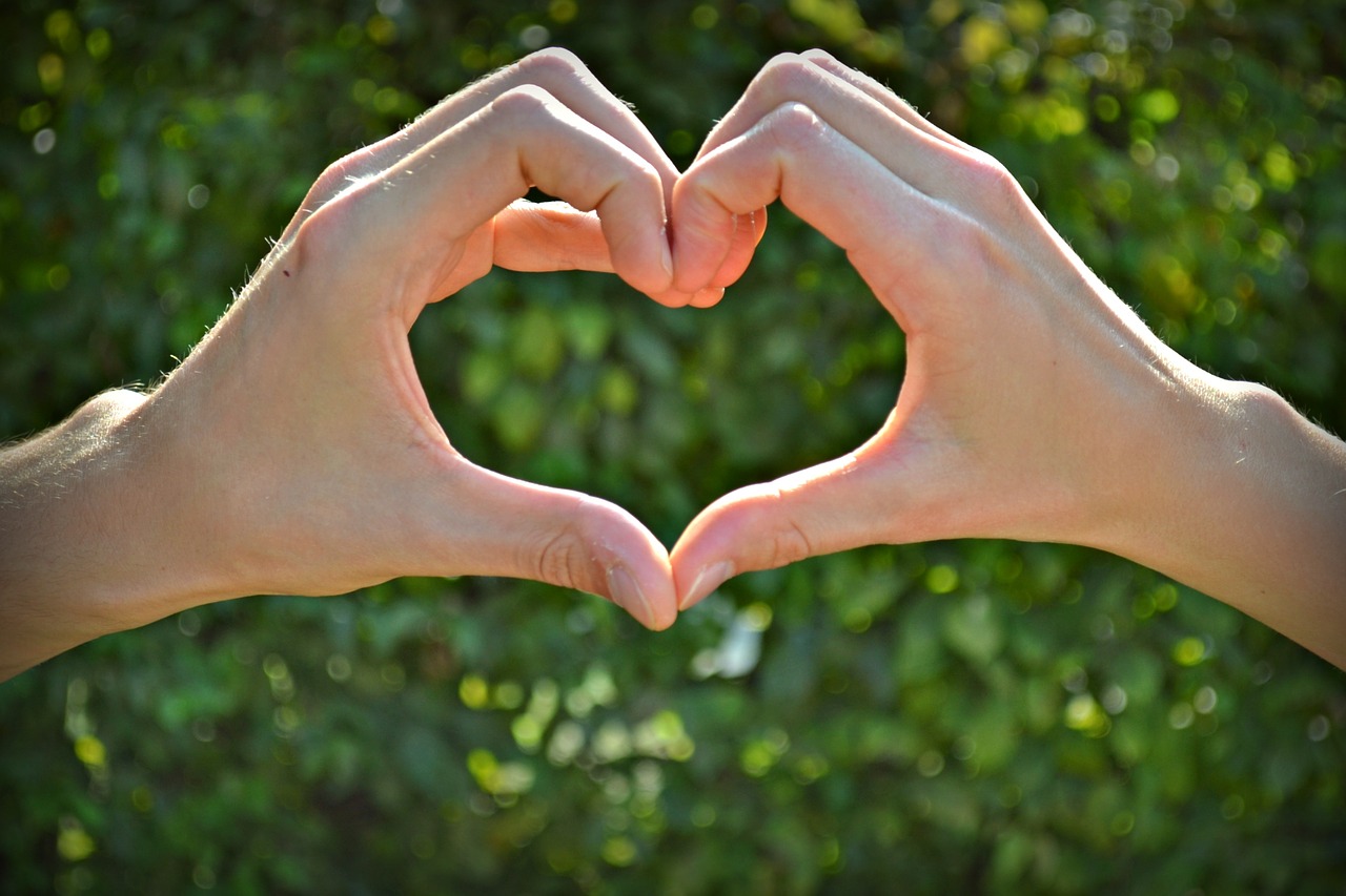 love heart heart shape free photo