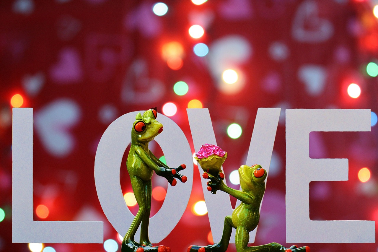 love valentine's day pair free photo