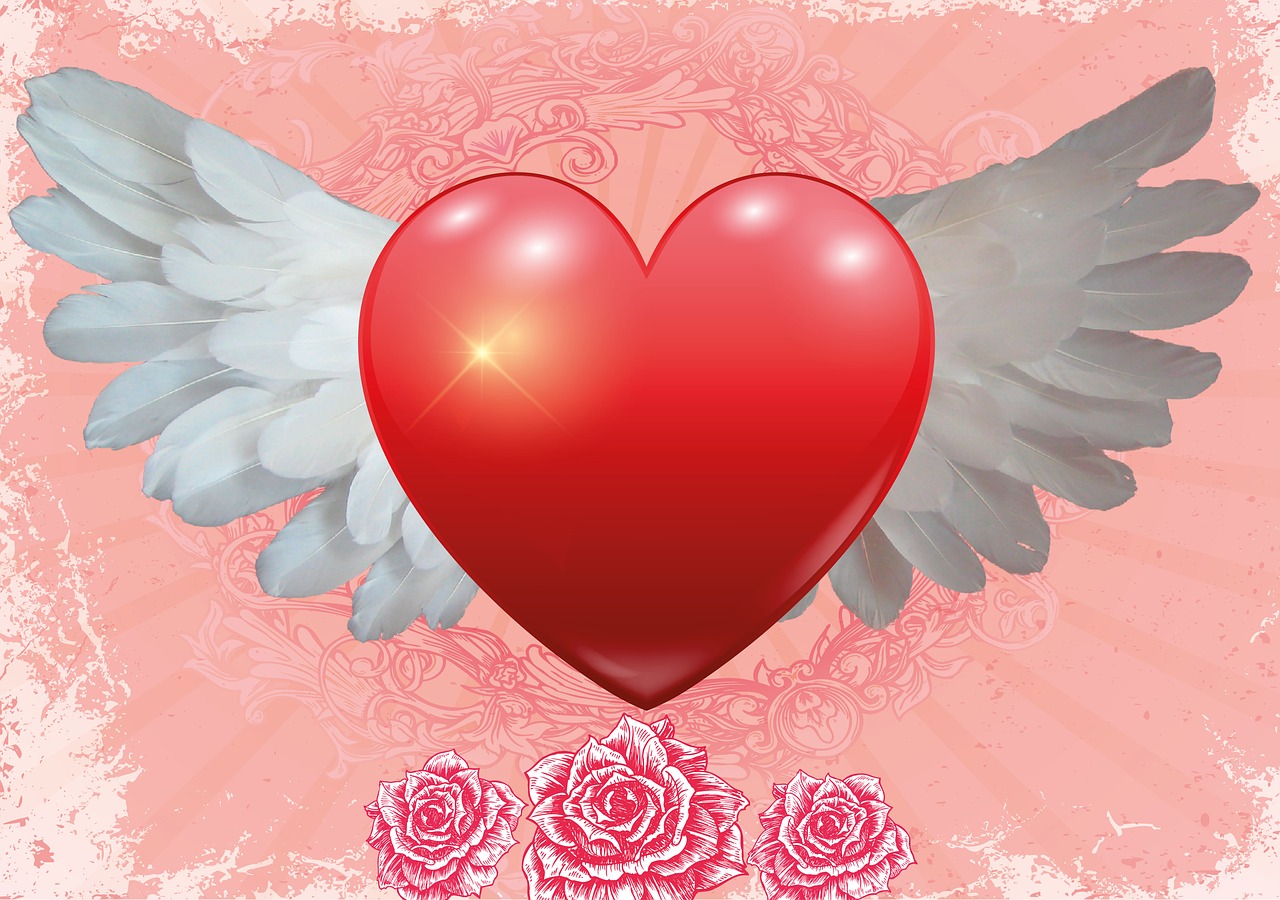 love heart wing free photo