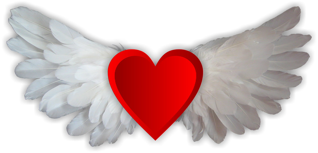 love love wings heart free photo