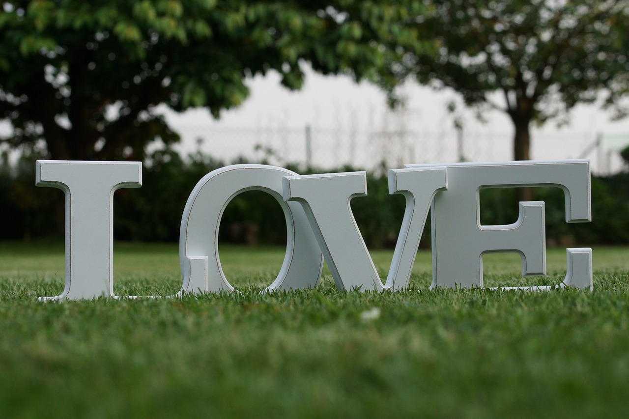 love letters grass free photo