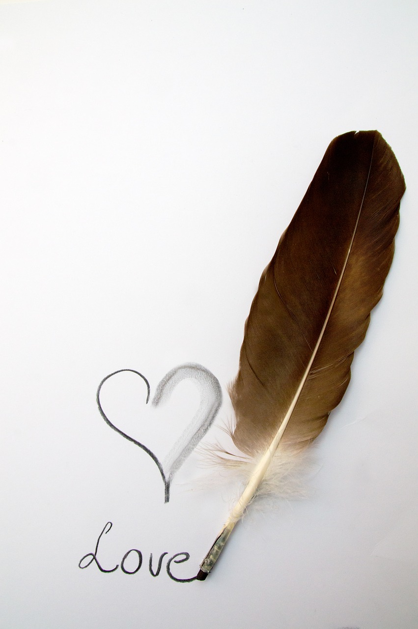 love heart feather free photo