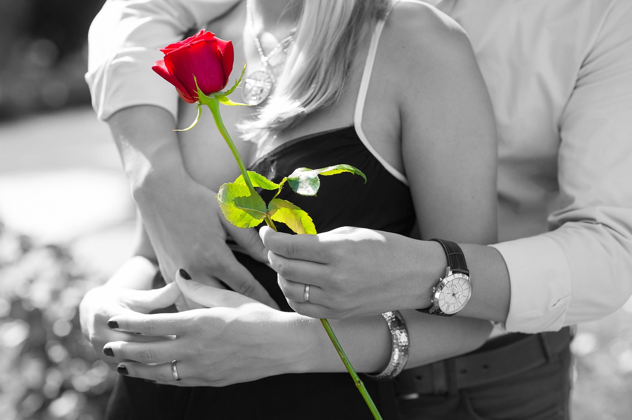 red rose love romantic free photo