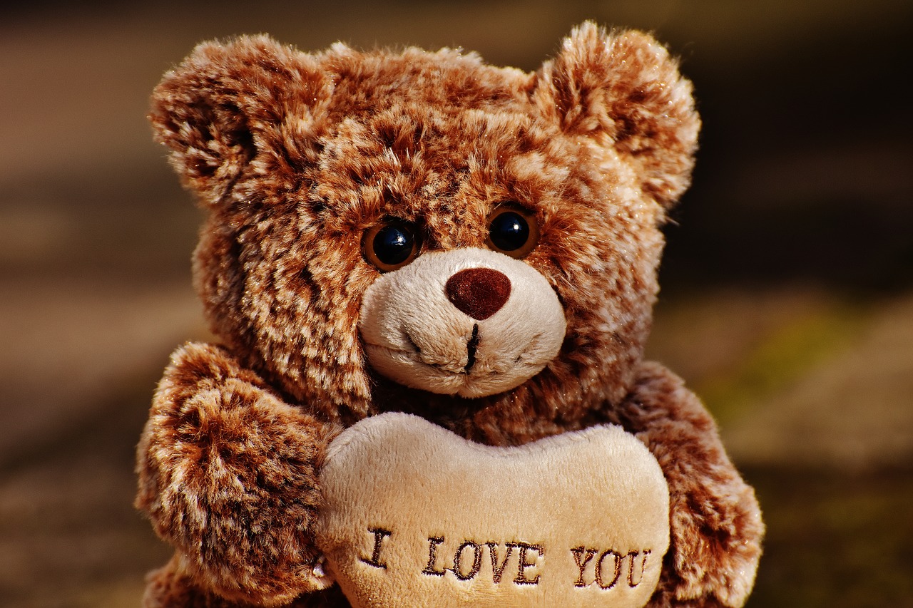 love teddy bears free photo