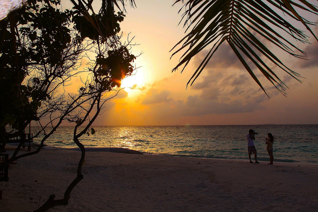 love beach sea free photo