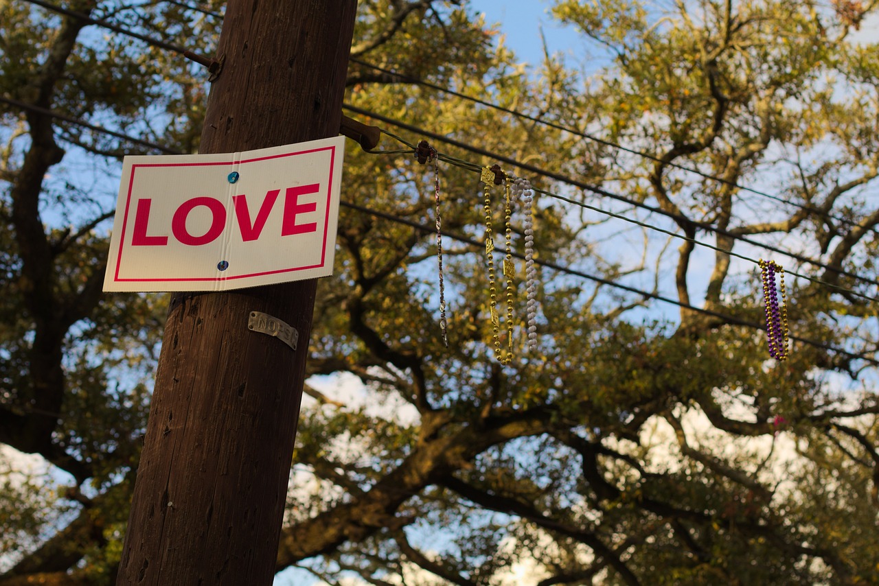 love light pole tree free photo