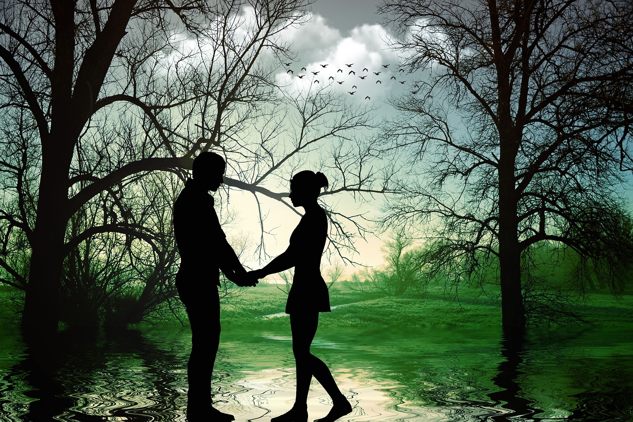 love  romantic  together free photo