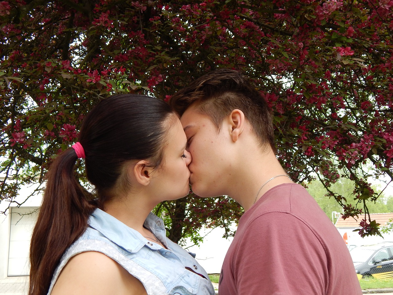 love kiss boy free photo