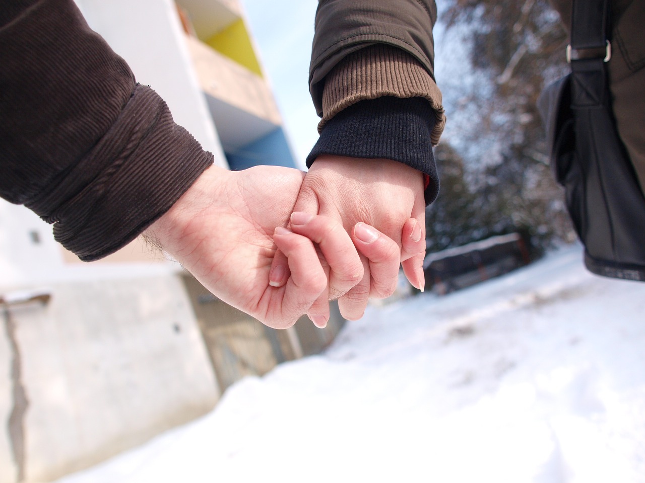 love couple holding hands free photo
