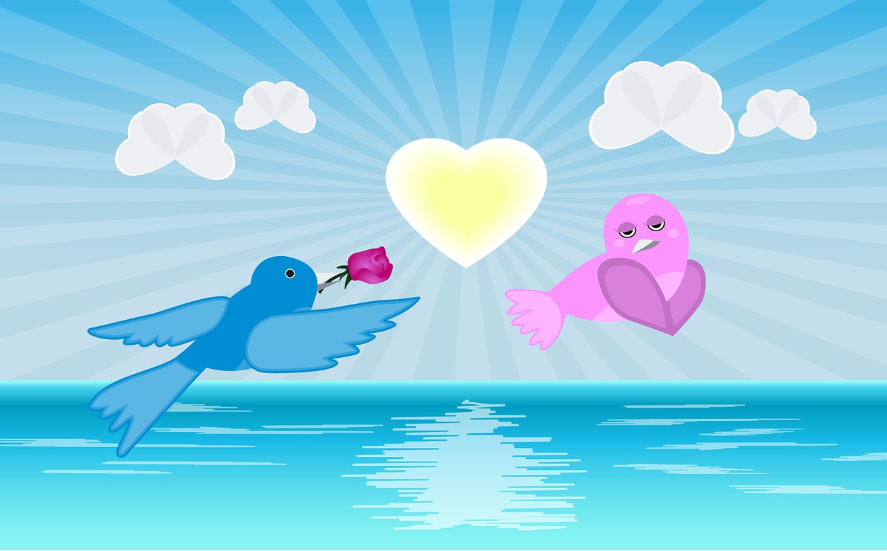 love birds flying birds love free photo