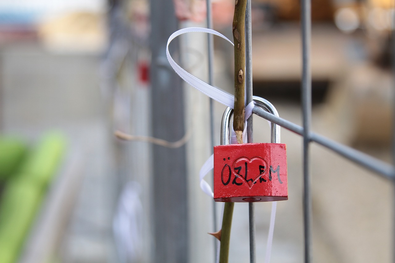 love castle padlock symbol free photo