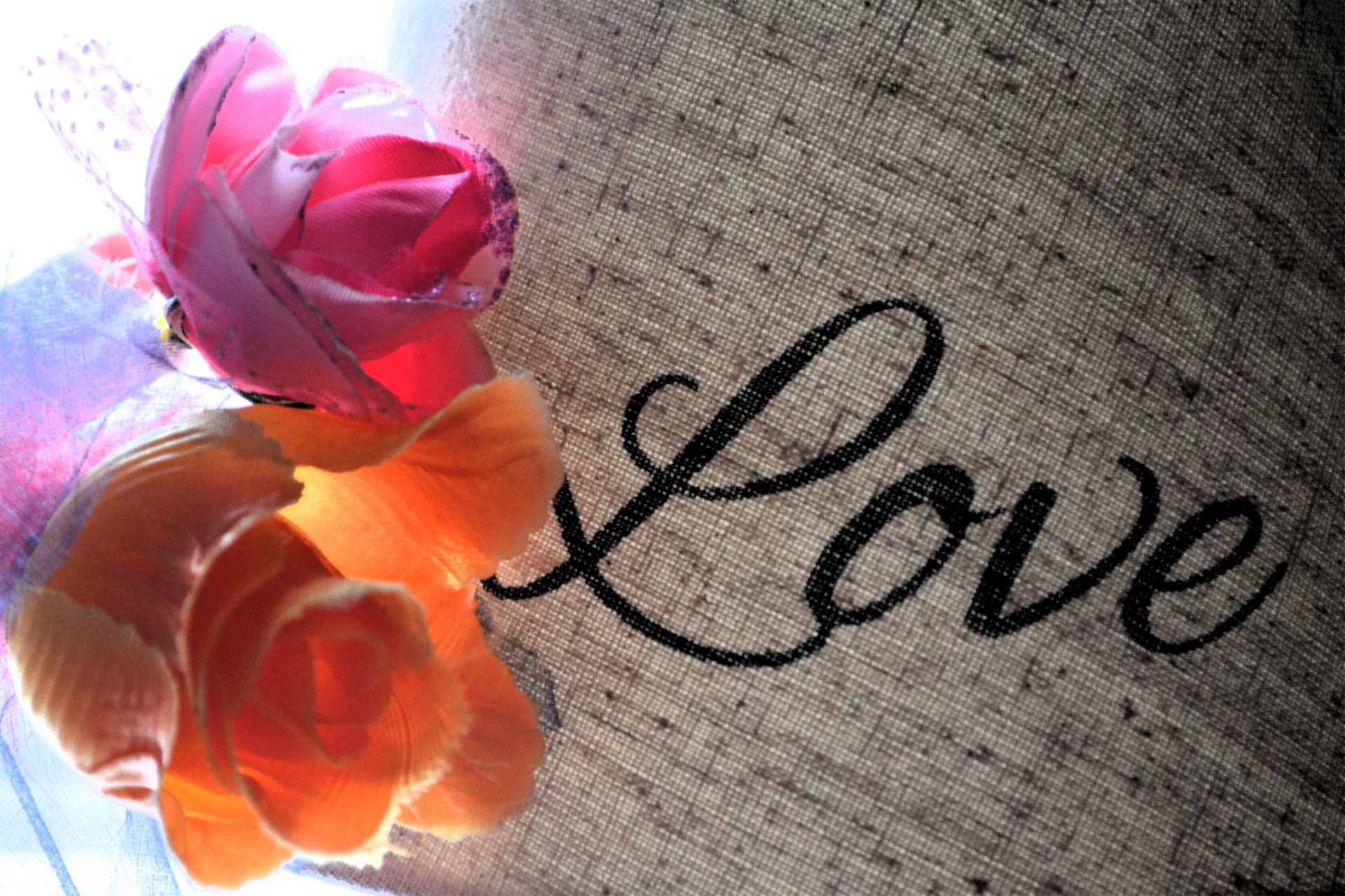 love background flowers free photo