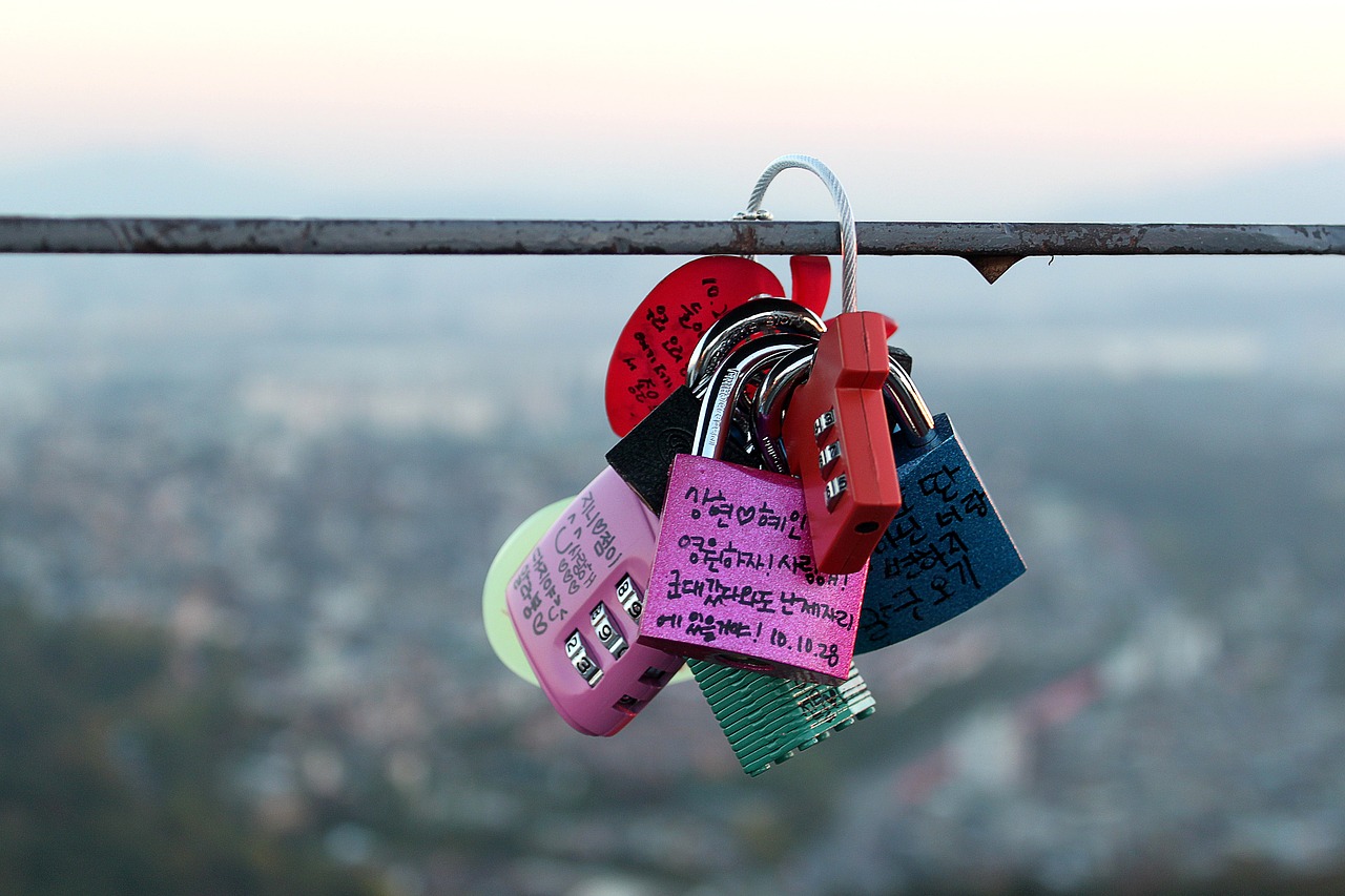 love lock locks symbol free photo