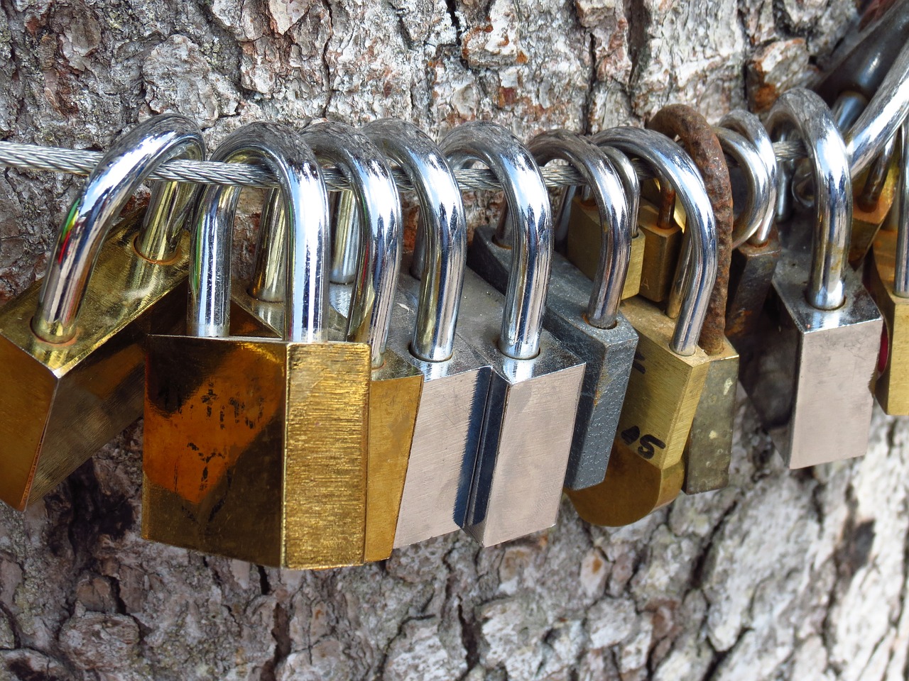 love locks love tree castles free photo