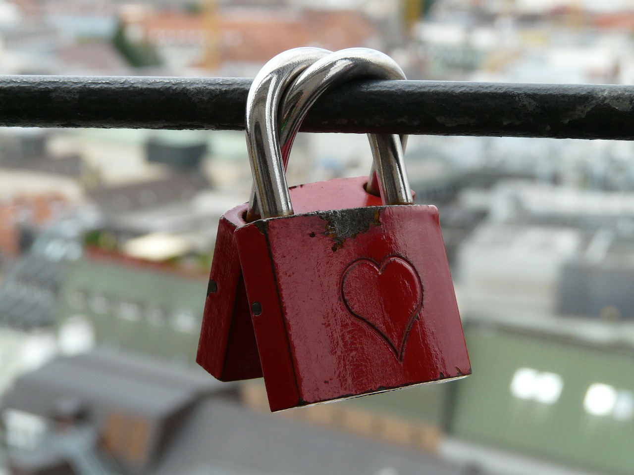 love locks love padlocks free photo