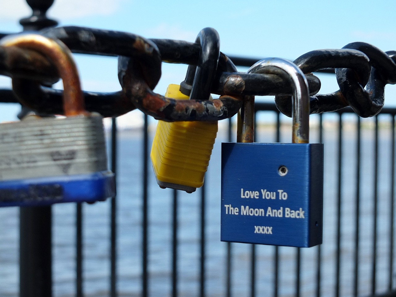 love locks padlocks liverpool free photo