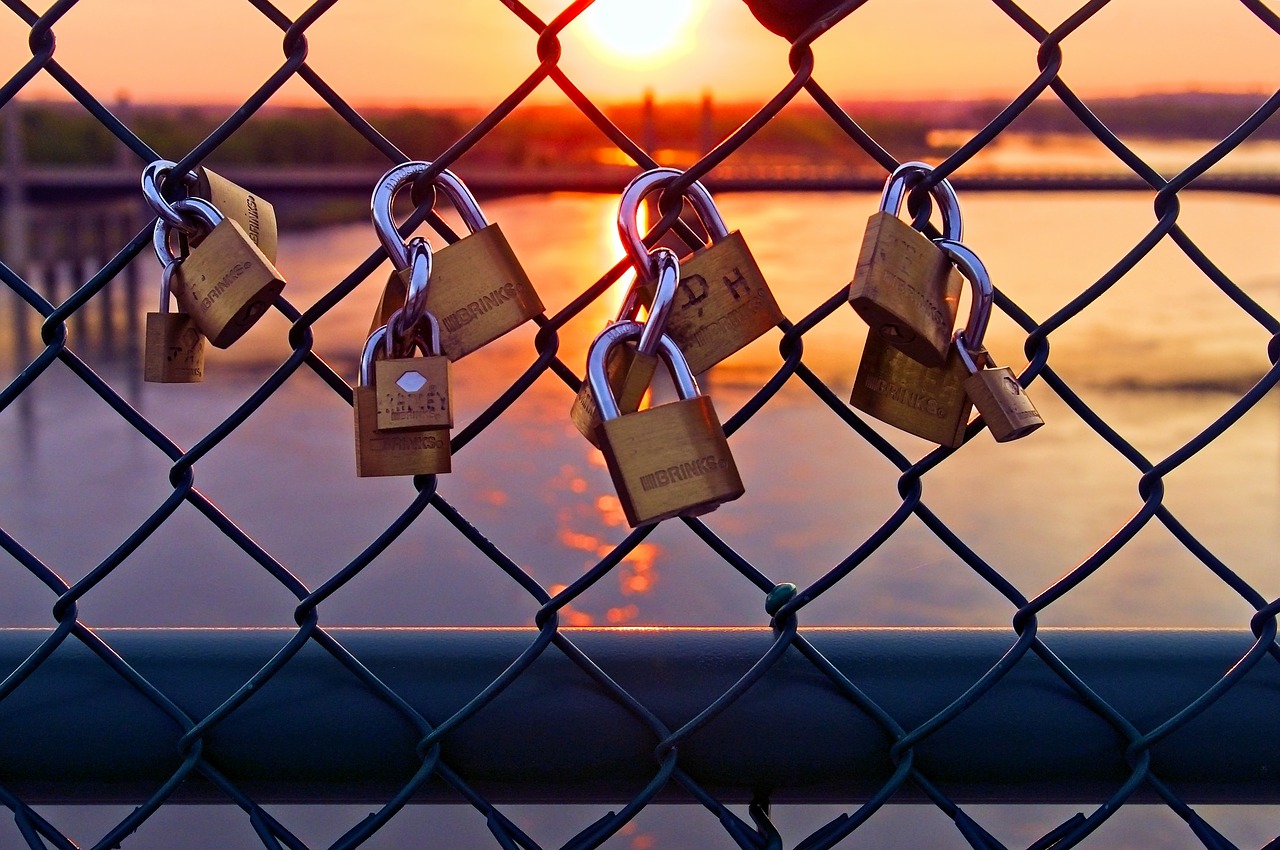 love locks at sunset  love  padlock free photo