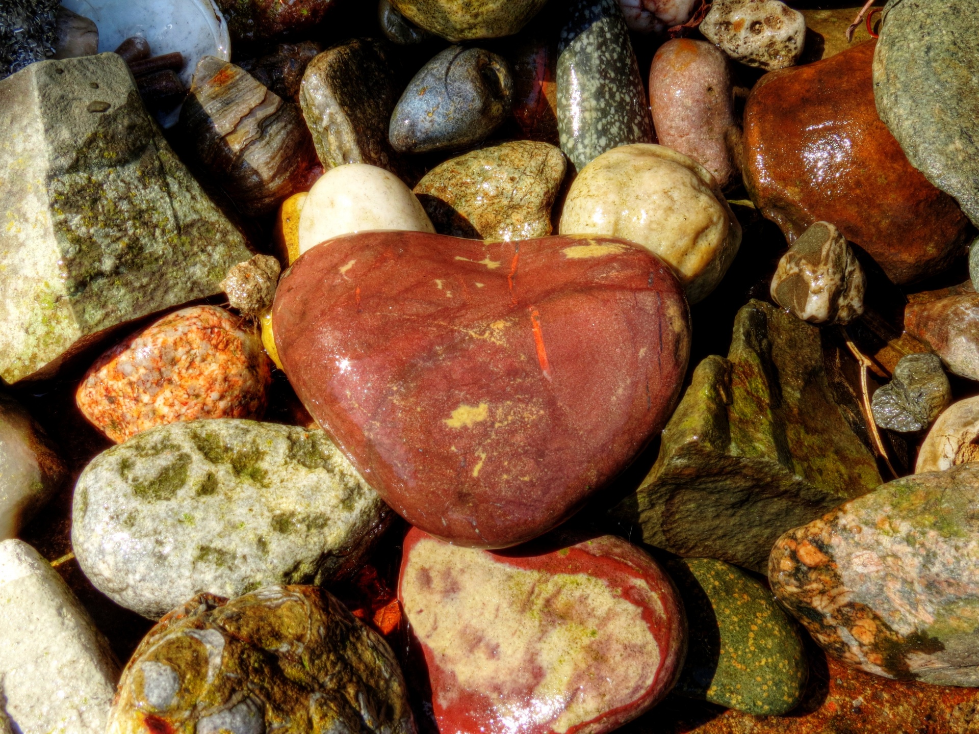 beach pebbles love heart free photo