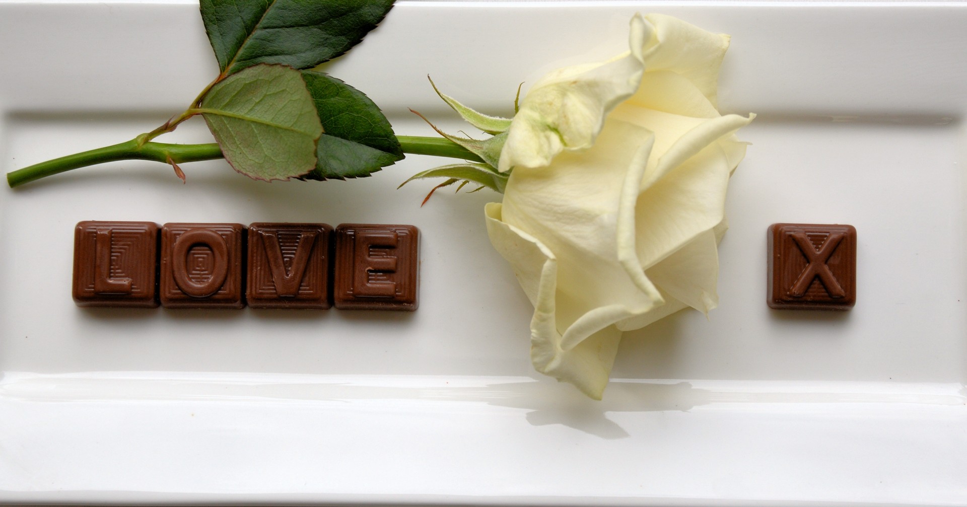 rose love letters free photo