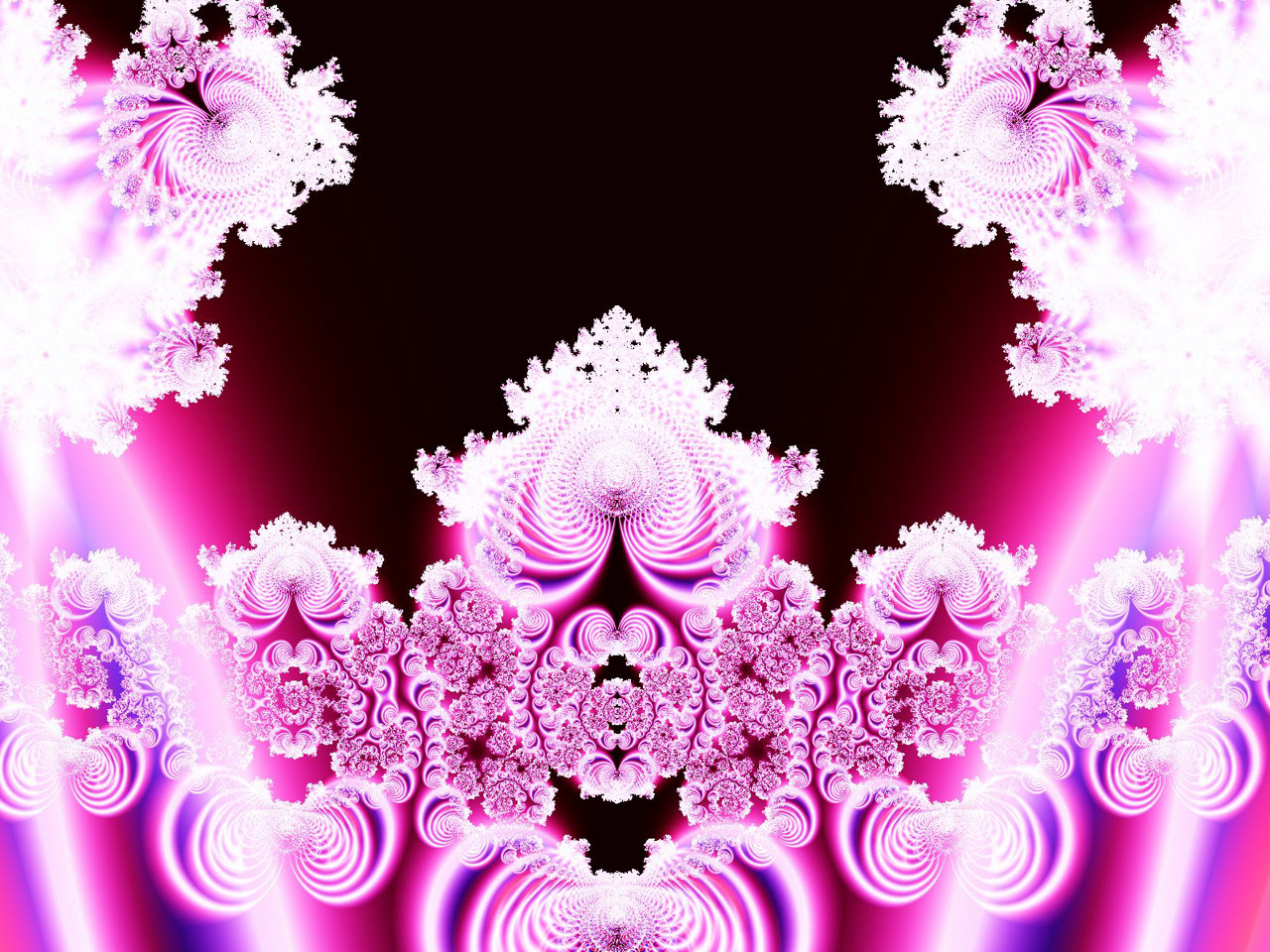 fractal pink lovely pink free photo