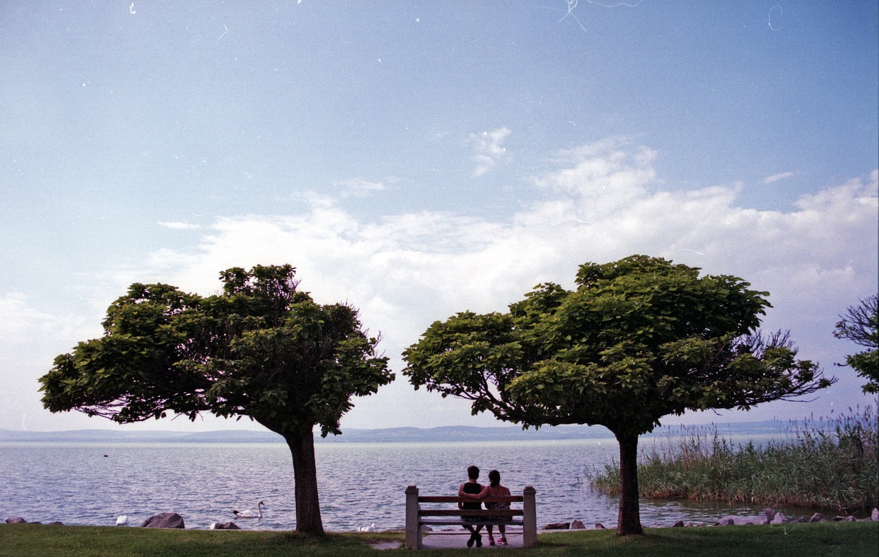 lovers bench lake free photo