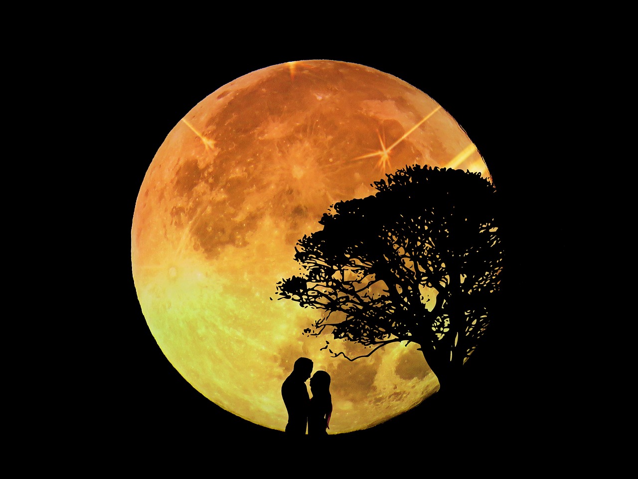 lovers pair moon free photo