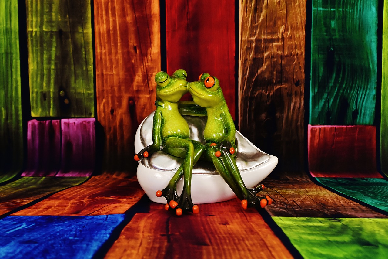 lovers frogs funny free photo