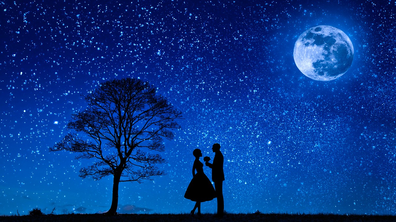 lovers  moon  love free photo