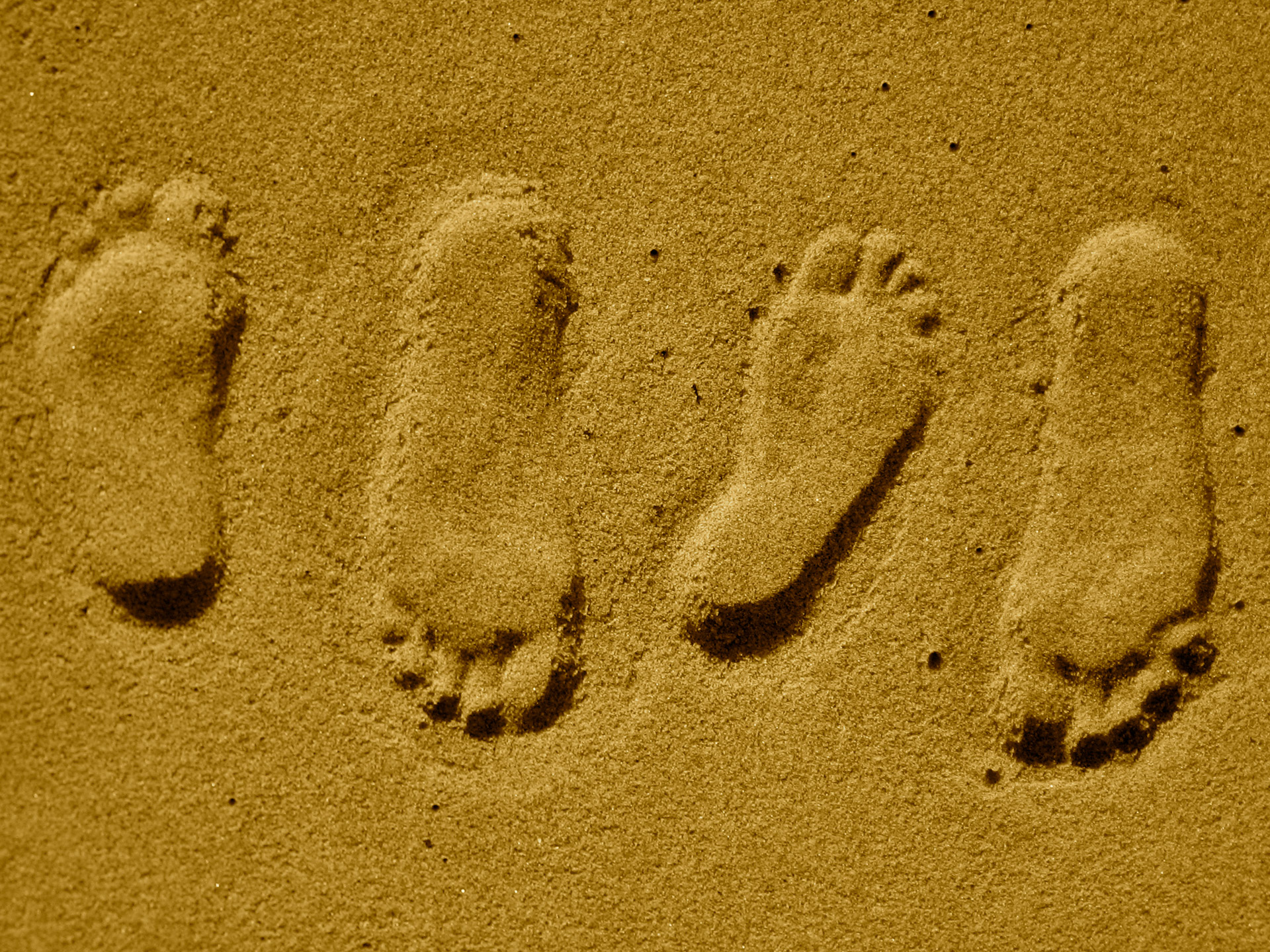 footprints steps lovers steps free photo