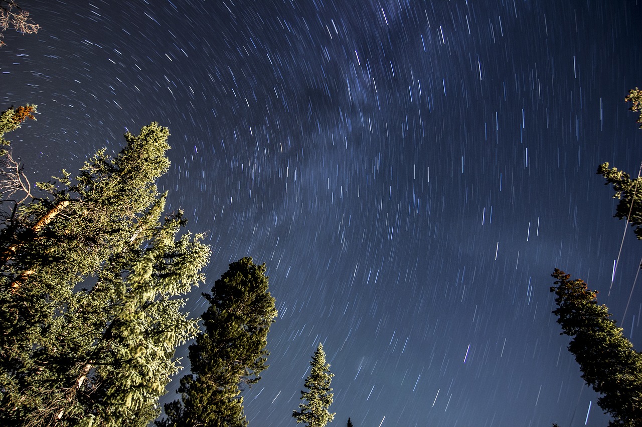 low angle shot nature outdoors free photo