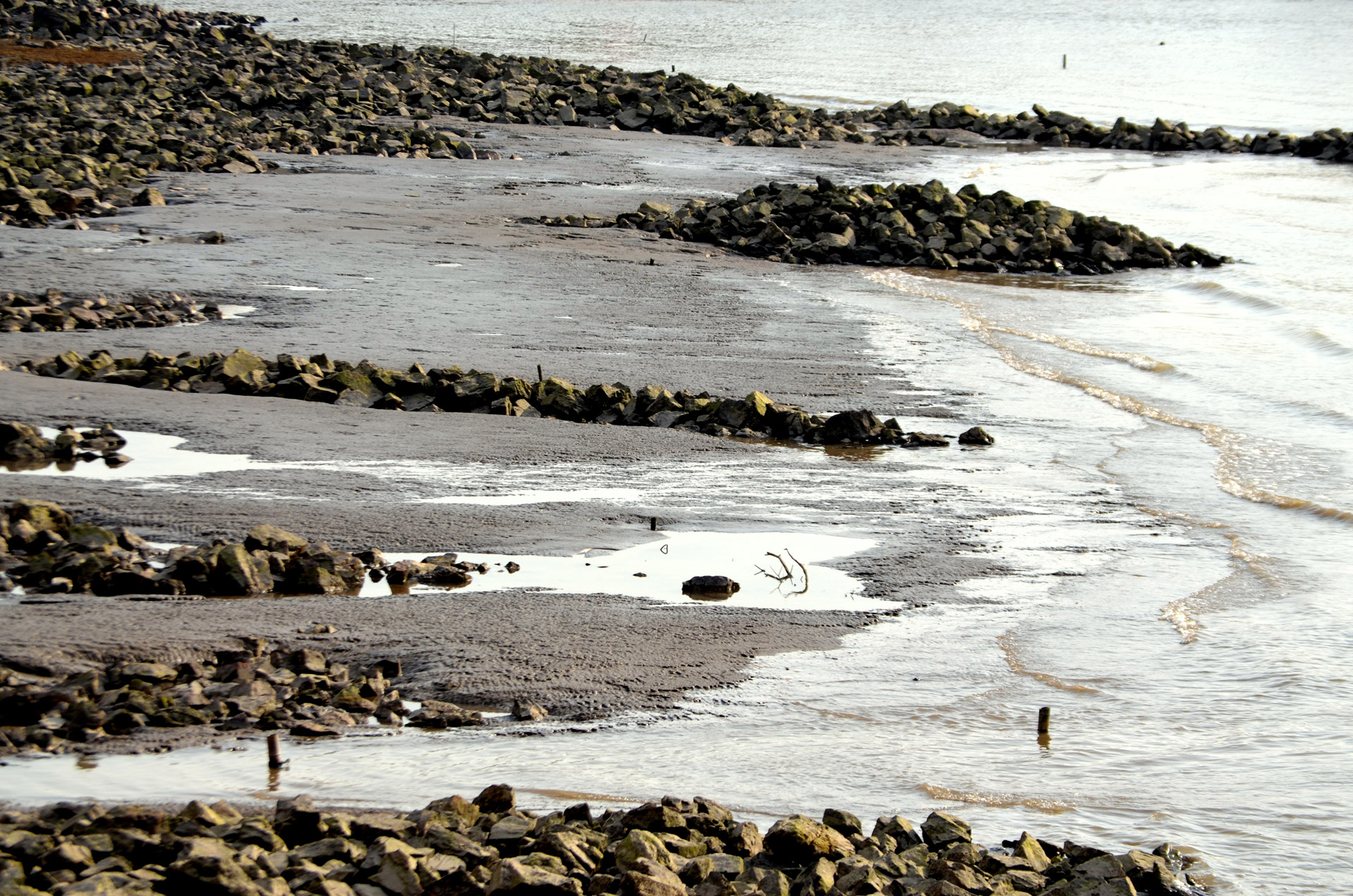 tide low low tide free photo