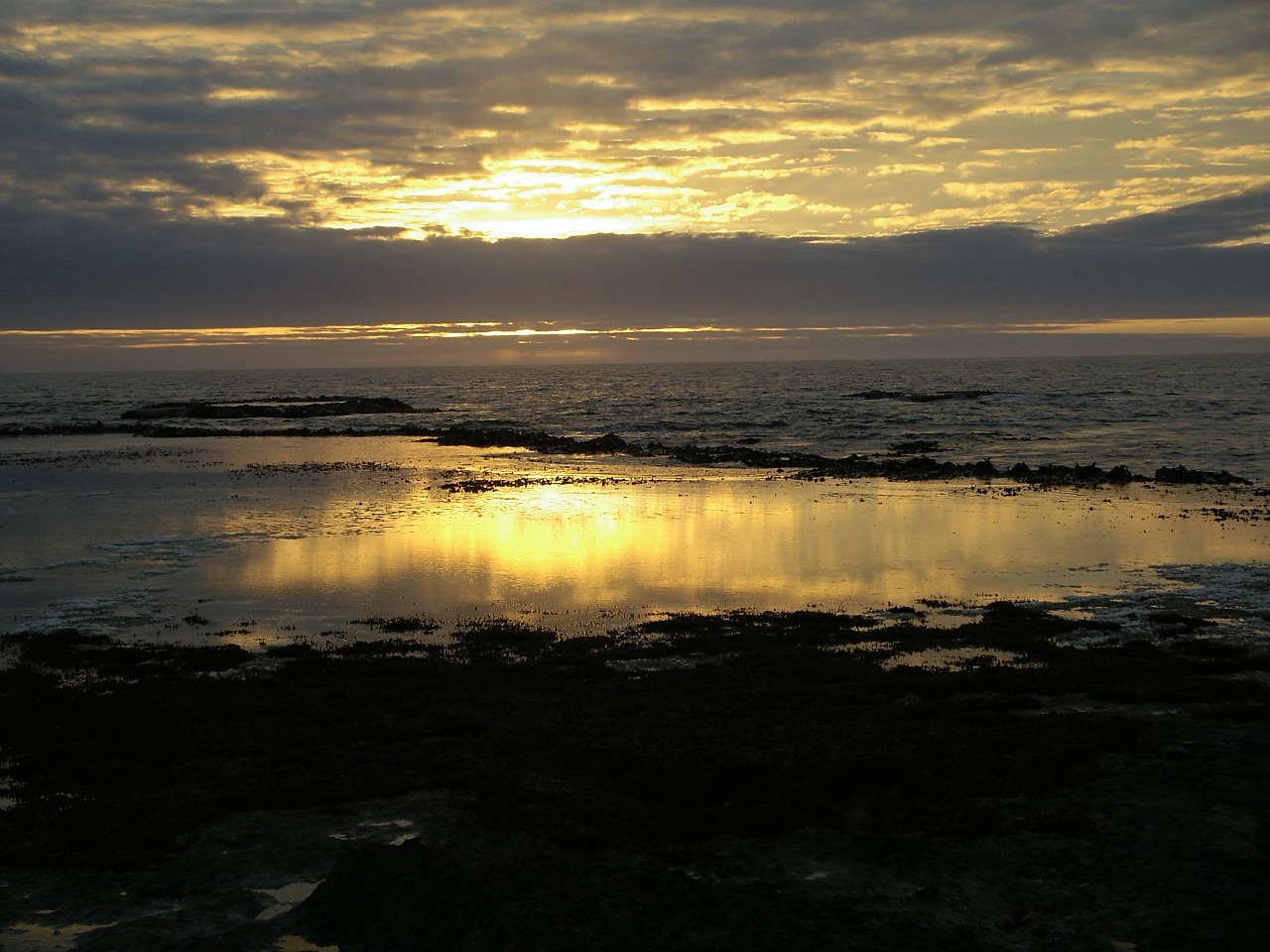 low tide sunset clouds free photo