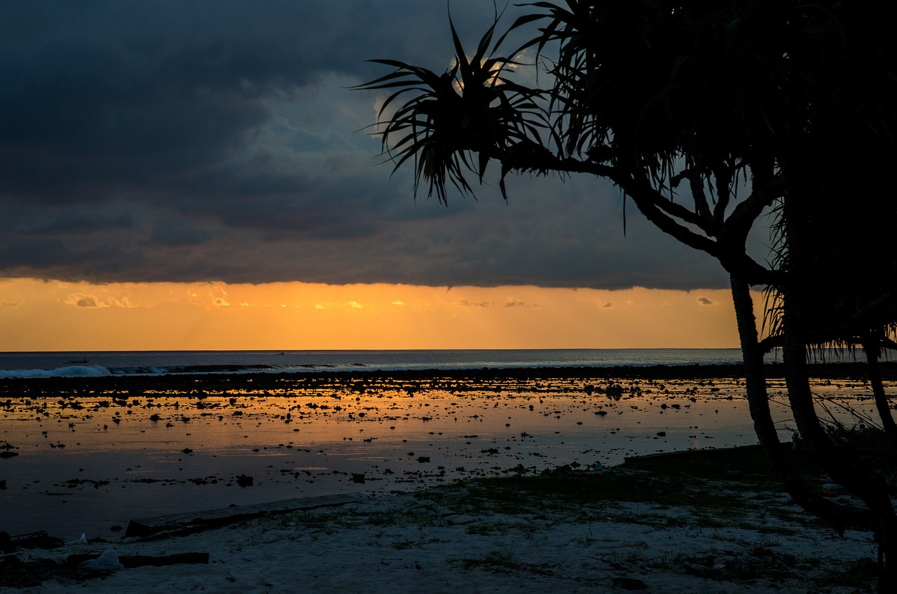 low tide seaside shore free photo