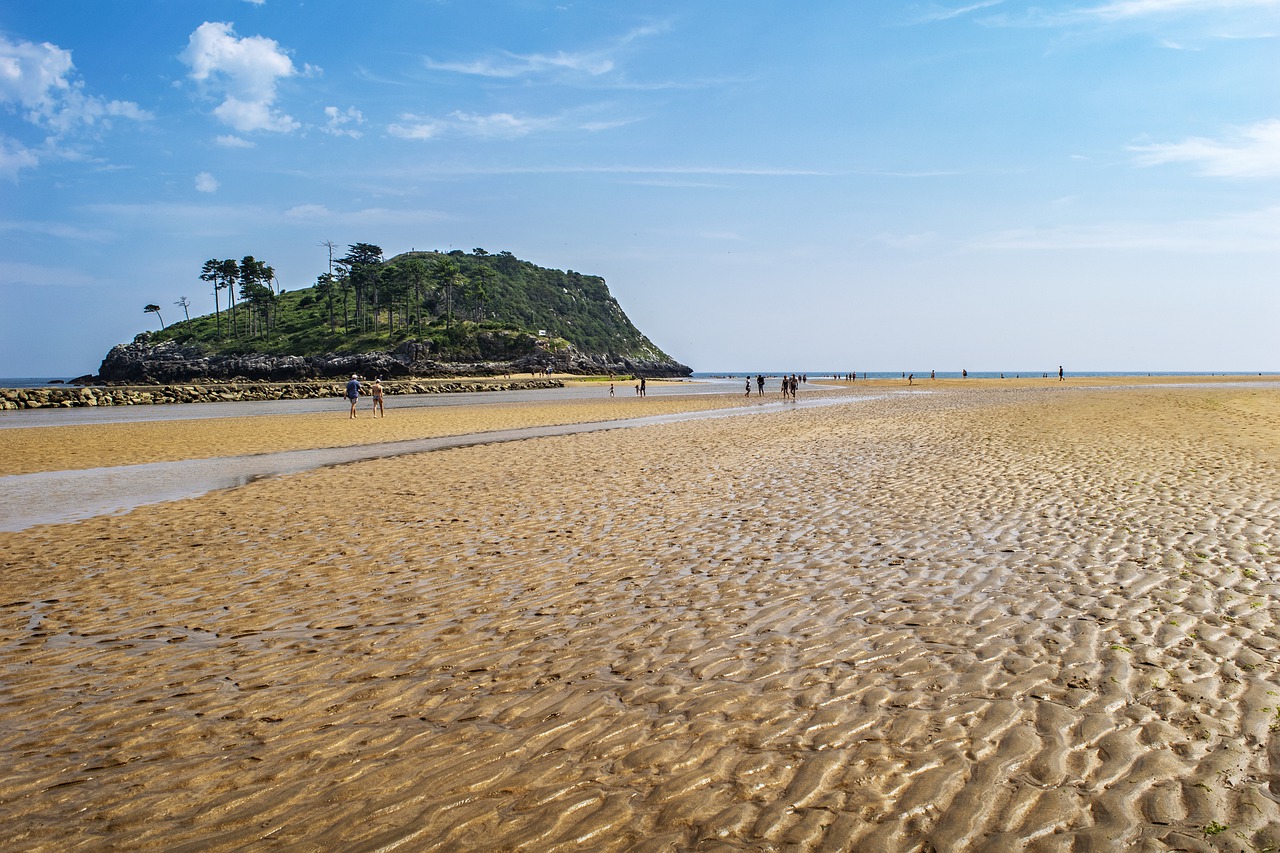 low tide  sea  landscape free photo