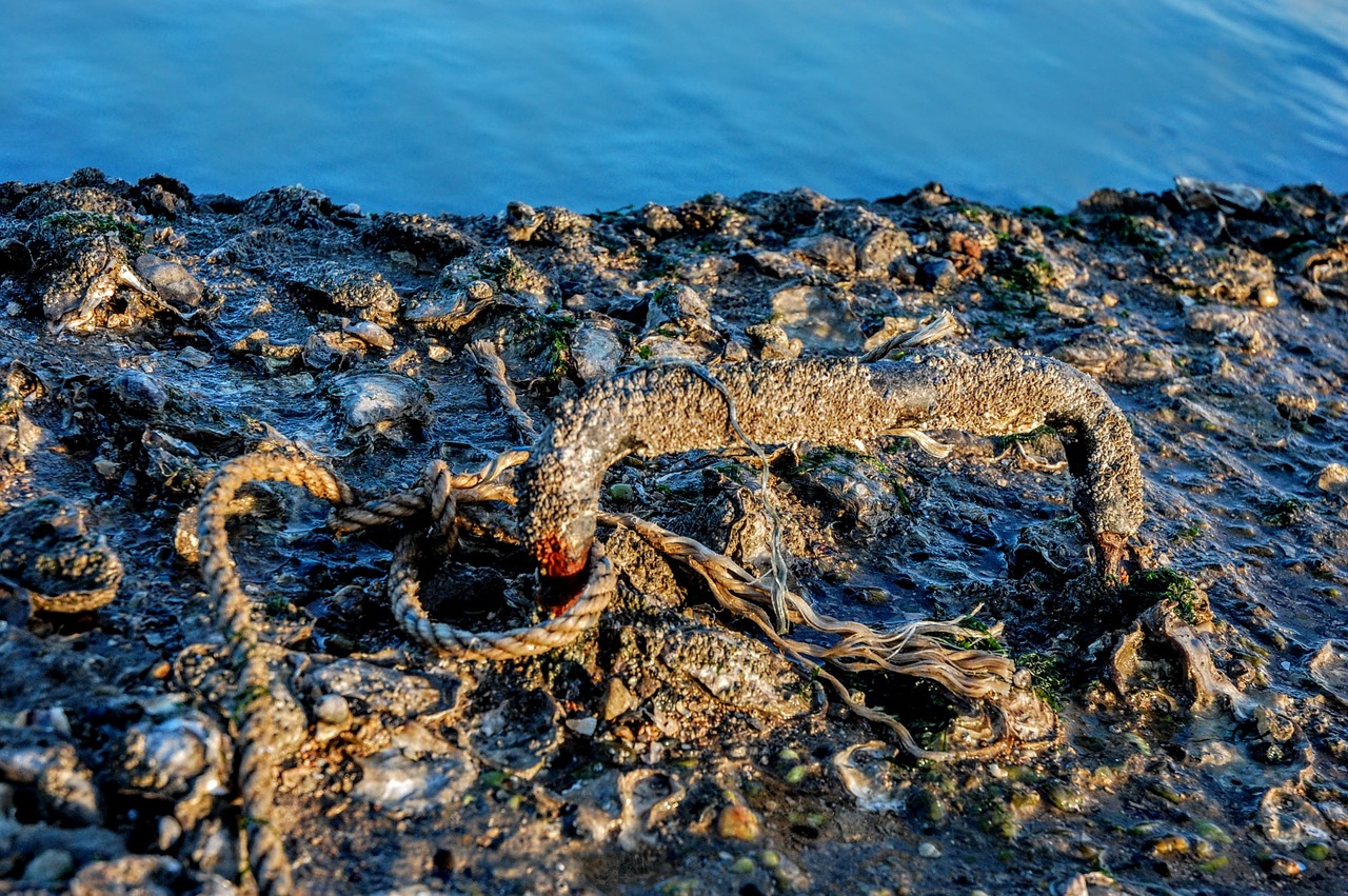 low tide sea strong louvois free photo