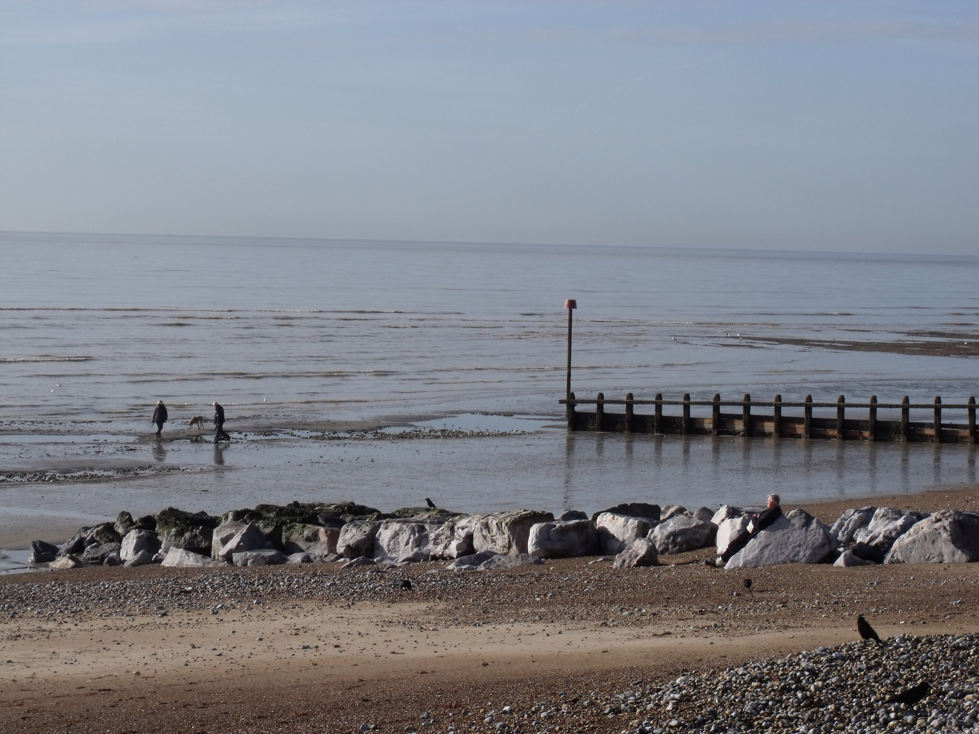 seaside low tide walking at low tide free photo