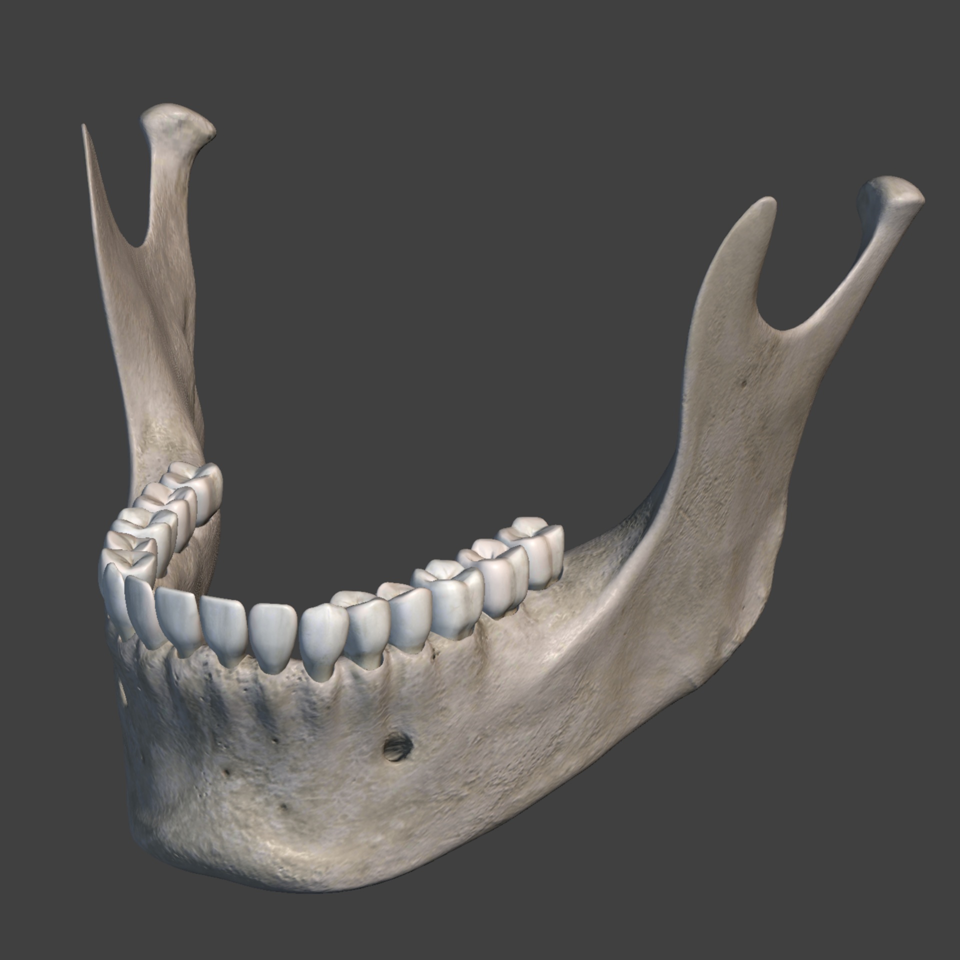 Фото зубов нижней челюсти по номерам