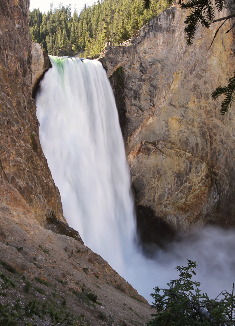 lower yellowstone falls  waterfall  river free photo