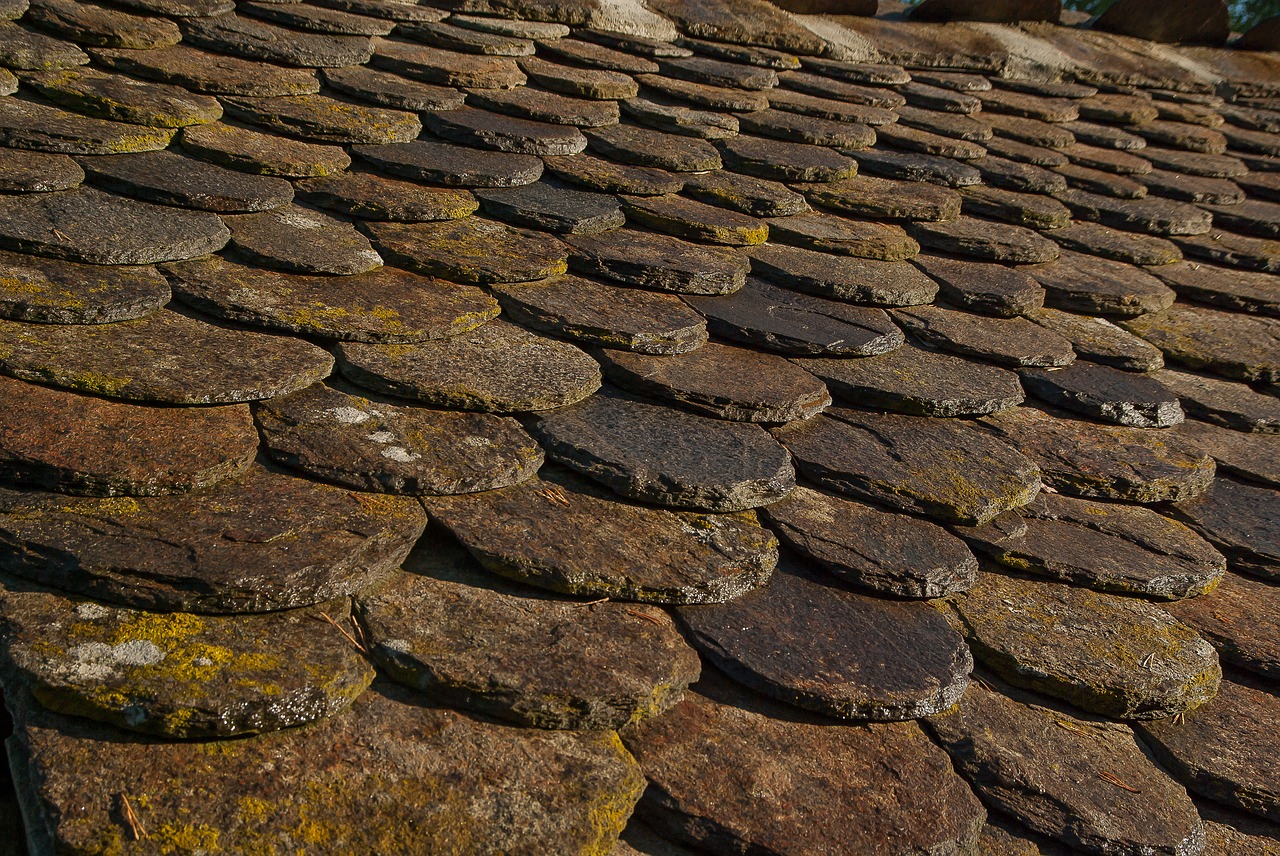 lozère roofing slate free photo