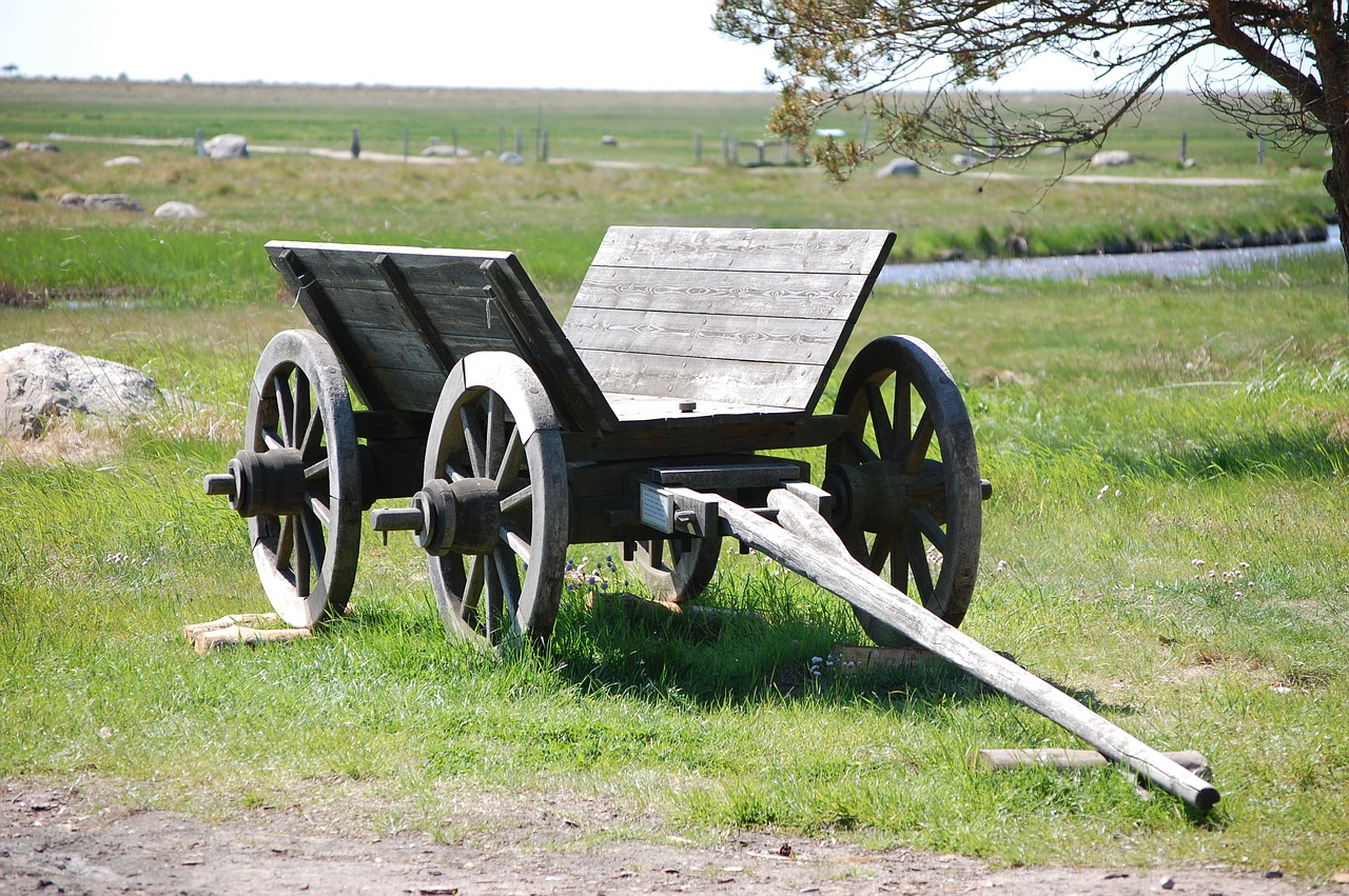 læsø straw wagon free photo