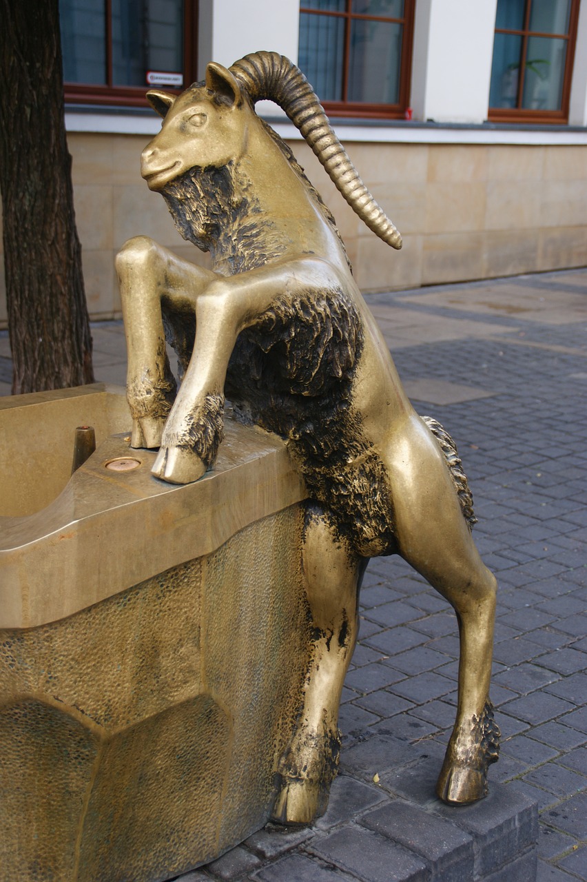 buck the statue of lublin free photo
