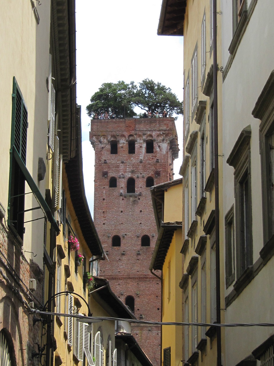 lucca tower overgrown free photo