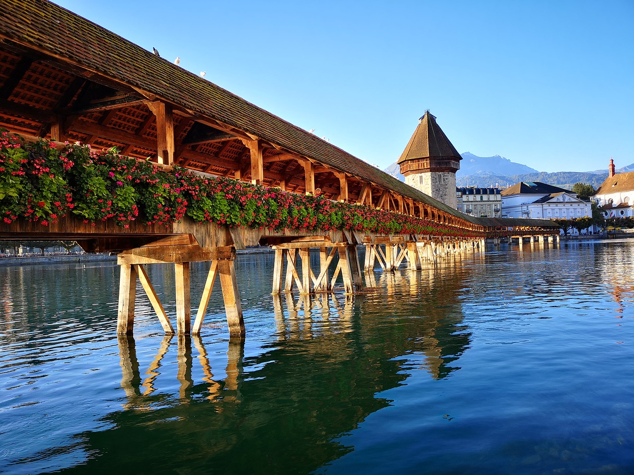 lucerne  kappel bridge  autumn free photo