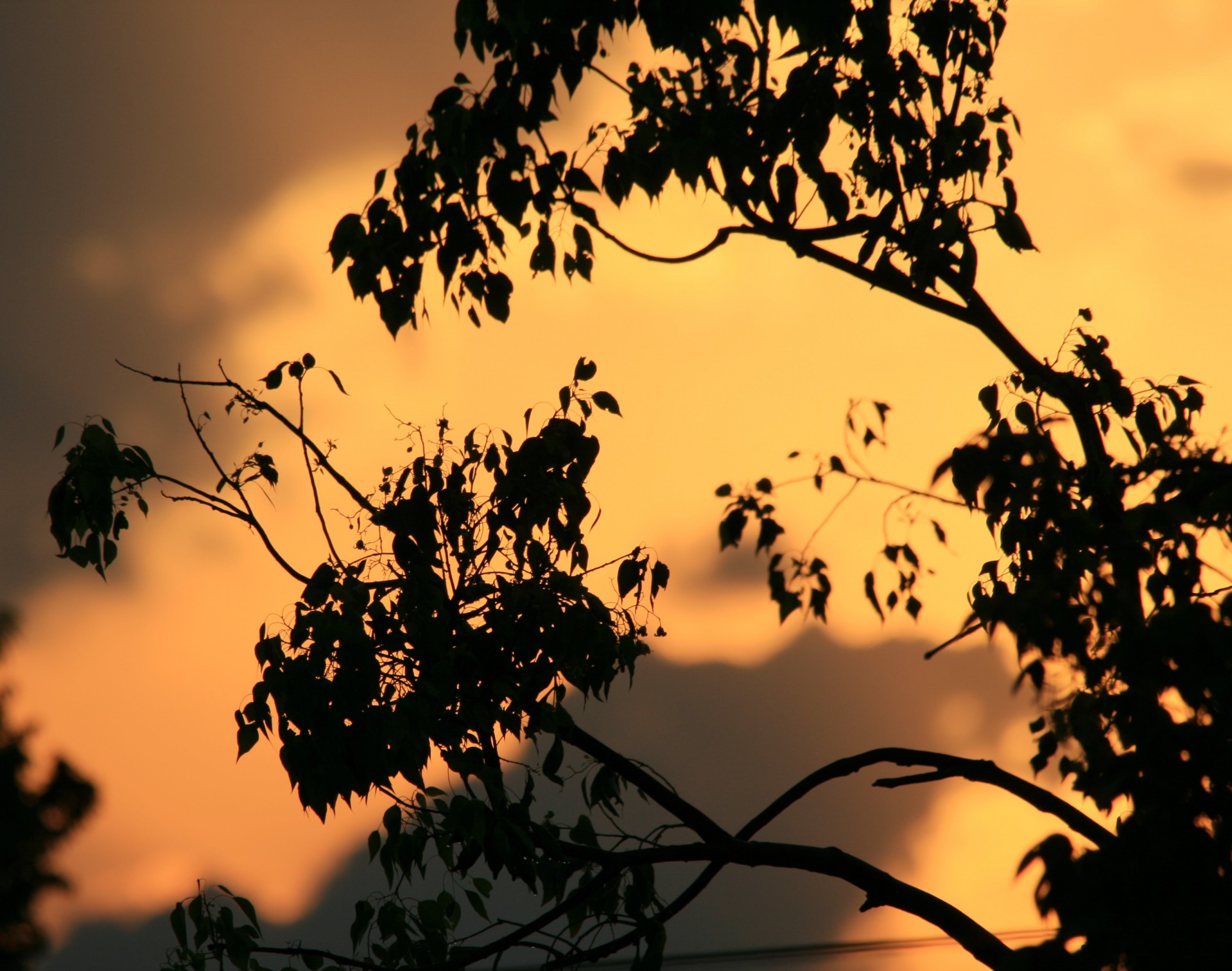 sky sunset gold orange free photo