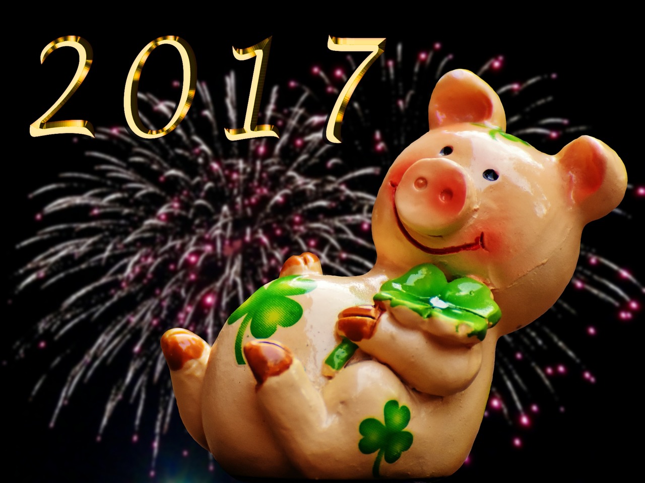 luck piglet lucky pig free photo