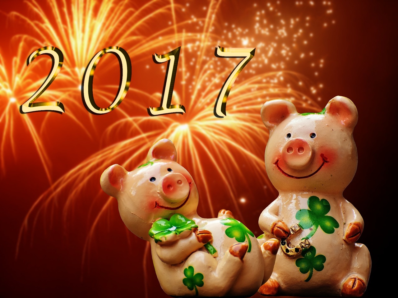 luck piglet lucky pig free photo