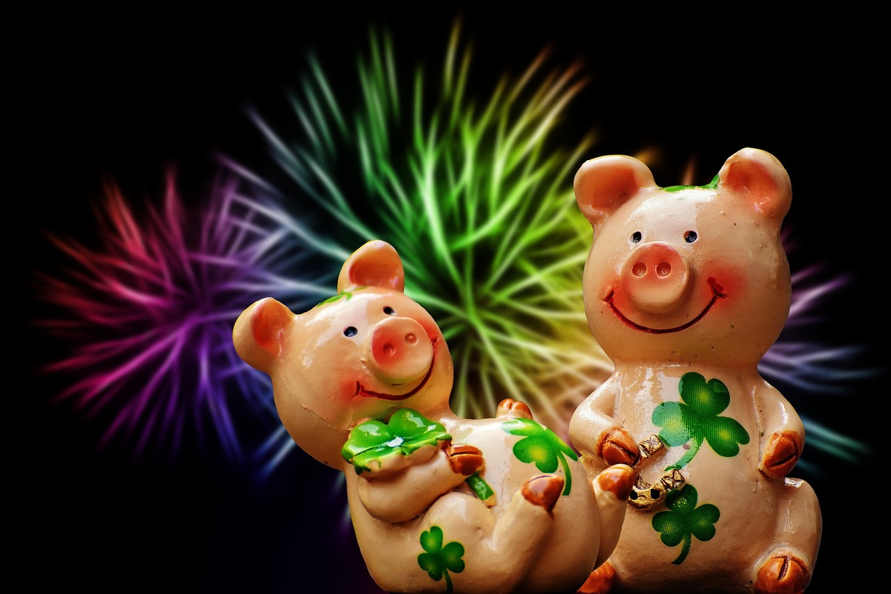 luck piglet lucky pig free photo