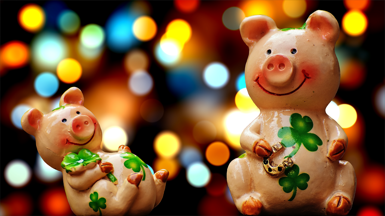 luck piglet lucky pig free photo