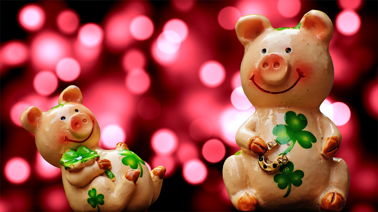 luck piglet lucky pig free photo