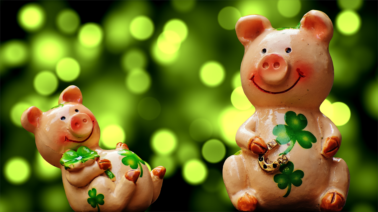 luck piglet lucky pig free photo